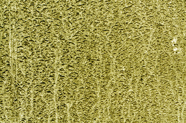 dirty yellow car surface.