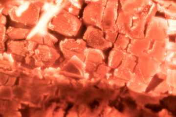 burned coals