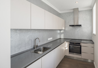 Modern contemporary interior. Kitchen.