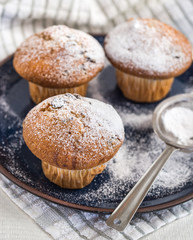 Muffins sprinkled by powdered sugar on blue plate and strainer.