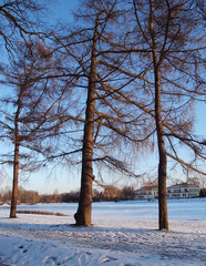 RussianRussian Winter. Winter day. Winter landscape. Winter. Winter day. Winter landscape.