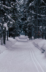 Sentiero invernale innevato