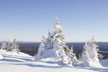 Winter landscape. Mountain range Zyuratkul. Snow covered fir tre