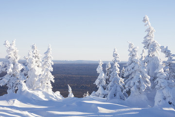 Winter landscape. Mountain range Zyuratkul. Snow covered fir tre