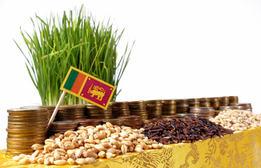 Sri Lanka flag waving with stack of money coins and piles of wheat