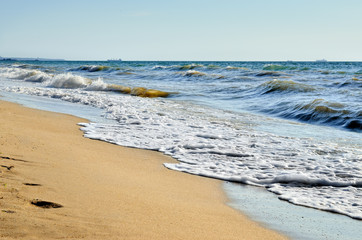 Sea waves washed clean beach made of shells. Landscape on a wild beach. The sea in the summer.