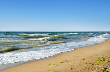 Sea waves washed clean beach made of shells. Landscape on a wild beach. The sea in the summer.