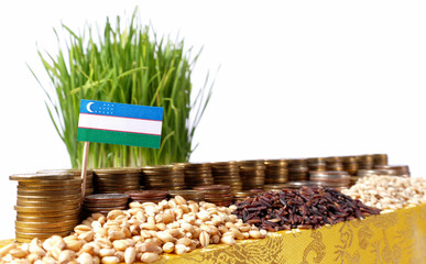 Fototapeta na wymiar Uzbekistan flag waving with stack of money coins and piles of wheat
