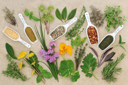 Fresh and Dried Spice and Herb Collection