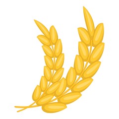 Gold ripe wheat ear icon, cartoon style