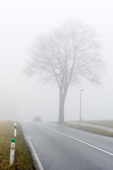 Landstraße im Nebel