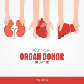 National Organ Donor Day Vector Illustration