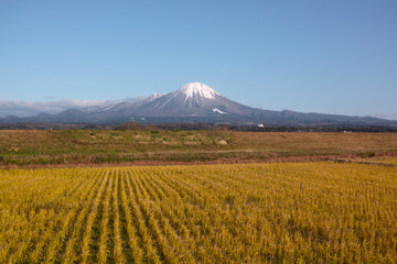 Fototapeta premium 米子市八幡から見た冬の大山