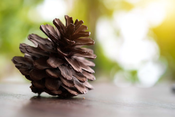 Closeup of pine cone on a wooden table natural background