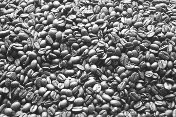 Coffee beans closeup