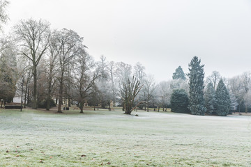 Frozen grass and trees at park in Luxembourg
