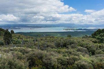 Ocean view from Mt Maunganui