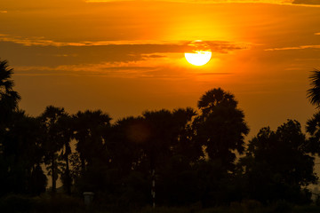 After a beautiful sunset, palm
