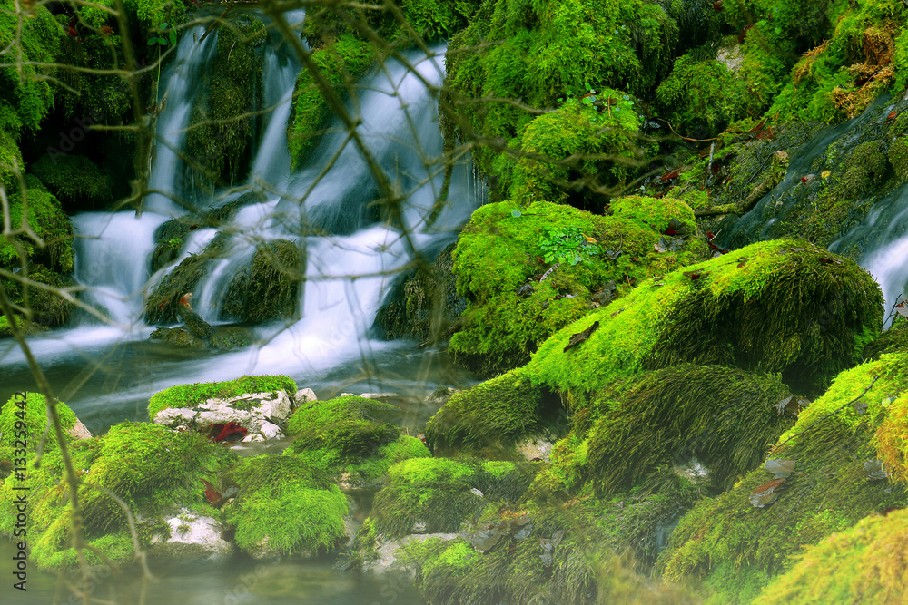 Canvas Prints mountain stream among the mossy stones