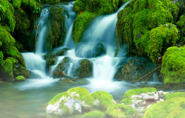 Mountain stream among the mossy stones