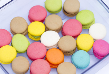 Fototapeta na wymiar Colorful macarons in tray isolated on white background