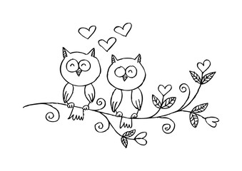 Obraz premium Two owls on the tree 