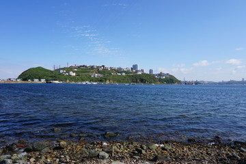 Бухта  Золотой  Рог.  Владивосток.Россия.