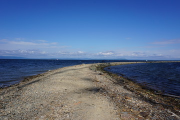 Бухта  Золотой  Рог.  Владивосток.Россия.