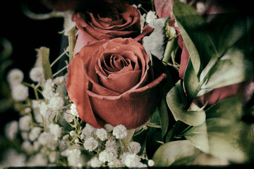 Vintage look red rose