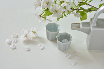日本酒と桜の花


