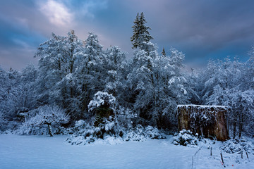 Fresh snow, Joyce Valley, Washington