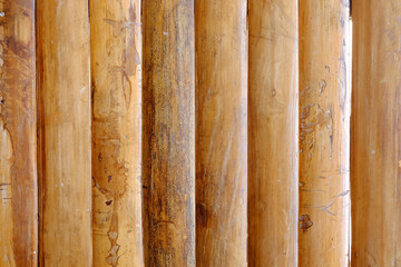 Bamboo texture for background