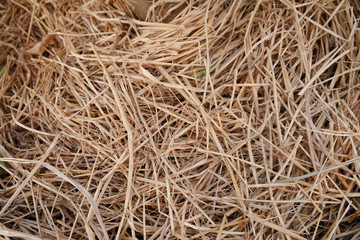 Rice straw pattern