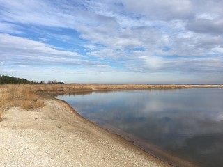 Chesapeake Bay beach winter landscape