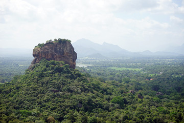 Fototapeta na wymiar Sigiriya Rock and forest