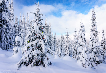 Decorated Christmas Tree in a Winter Landscape near the Village of Sun Peaks in the Shuswap Highlands of central British Columbia, Canada