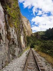 Jungle Railway