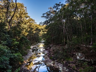 Forest River