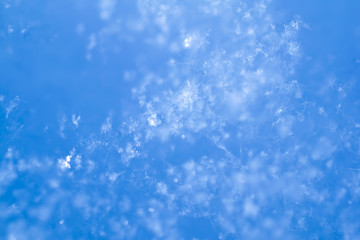 Snow Crystal Photo