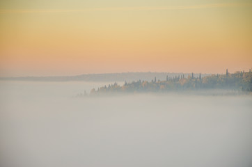 conifer tree at the top in the morning mist
