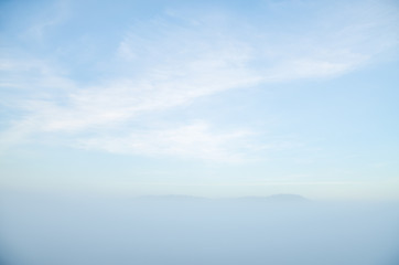 conifer tree at the top in the morning mist