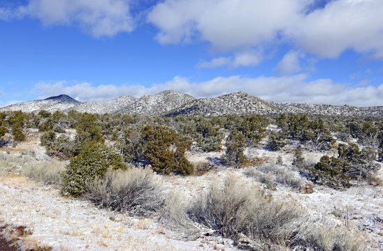 Mountain landscape in New Mexico with freshly fallen snow