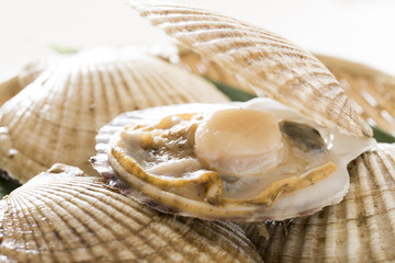 天然ホタテ貝 © kazoka303030