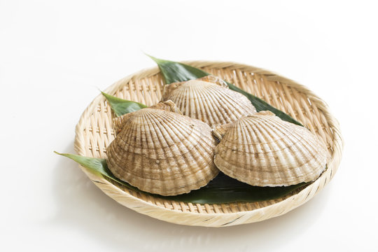 天然ホタテ貝