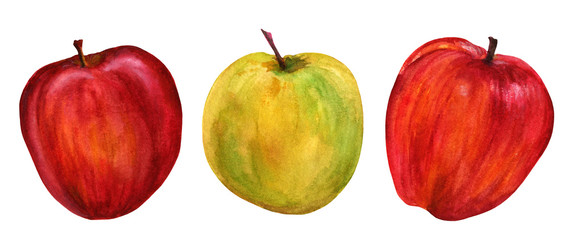 Three bright watercolour apples, isolated on white