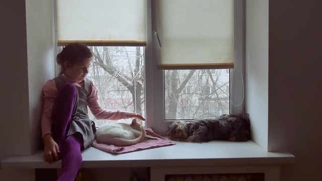 girl teen and dog sitting on a window sill windowsill pet