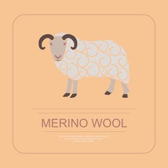 Logotype of merino wool in modern thin line design. Perfect organic farm products banner or flyer. Vector illustration. eps 10