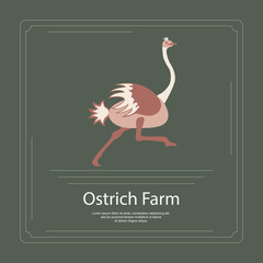 Logotype of ostrich farm with duck in flat design. Perfect organic farm products banner or flyer. Vector illustration. eps 10