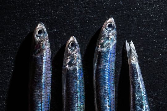 Fresh anchovies