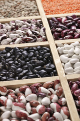 Various beans in box